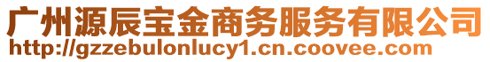 廣州源辰寶金商務(wù)服務(wù)有限公司