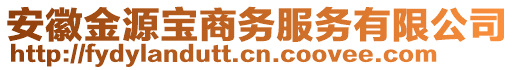 安徽金源寶商務服務有限公司