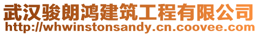 武漢駿朗鴻建筑工程有限公司