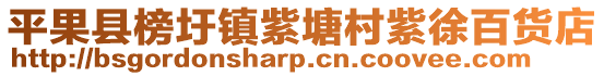 平果縣榜圩鎮(zhèn)紫塘村紫徐百貨店