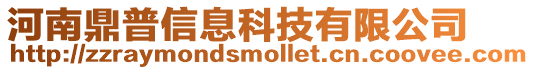河南鼎普信息科技有限公司