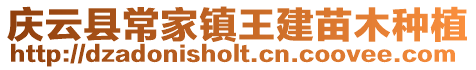 慶云縣常家鎮(zhèn)王建苗木種植