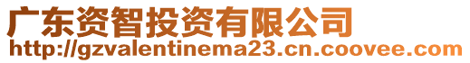 廣東資智投資有限公司