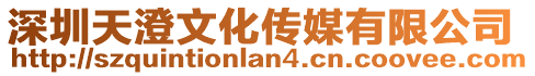 深圳天澄文化傳媒有限公司