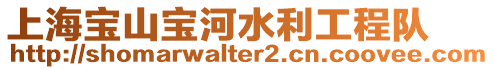 上海寶山寶河水利工程隊