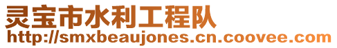 靈寶市水利工程隊(duì)