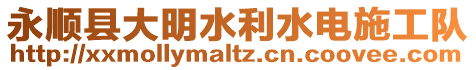 永順縣大明水利水電施工隊