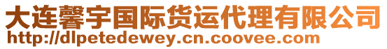 大連馨宇國際貨運(yùn)代理有限公司