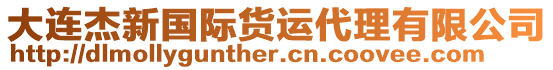 大連杰新國(guó)際貨運(yùn)代理有限公司