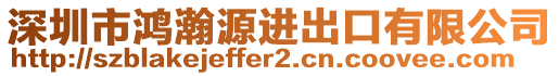 深圳市鴻瀚源進(jìn)出口有限公司