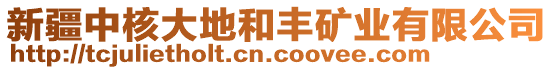 新疆中核大地和豐礦業(yè)有限公司