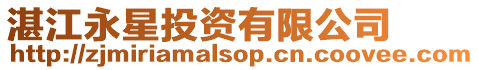 湛江永星投資有限公司