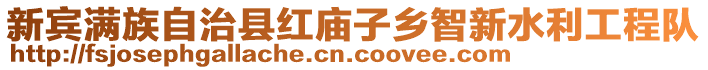 新賓滿(mǎn)族自治縣紅廟子鄉(xiāng)智新水利工程隊(duì)