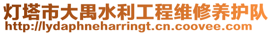 燈塔市大禺水利工程維修養護隊