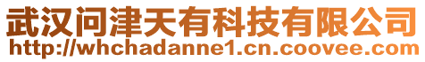 武漢問津天有科技有限公司