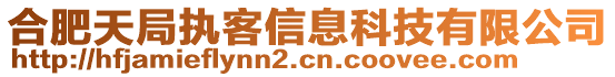 合肥天局執(zhí)客信息科技有限公司