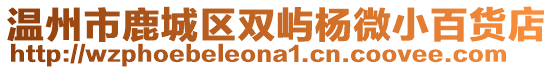 溫州市鹿城區(qū)雙嶼楊微小百貨店