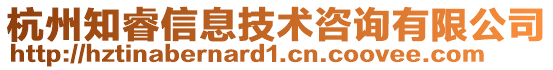 杭州知睿信息技術咨詢有限公司