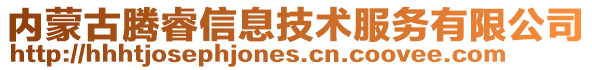 內蒙古騰睿信息技術服務有限公司