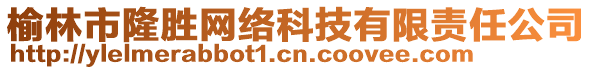 榆林市隆勝網絡科技有限責任公司