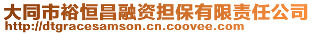 大同市裕恒昌融資擔保有限責任公司