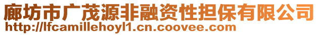 廊坊市廣茂源非融資性擔保有限公司