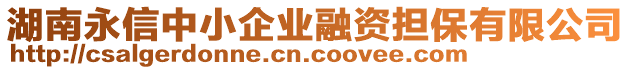 湖南永信中小企業(yè)融資擔(dān)保有限公司