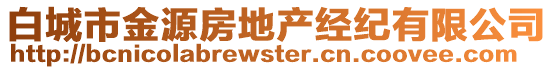 白城市金源房地產(chǎn)經(jīng)紀(jì)有限公司