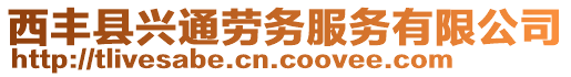 西豐縣興通勞務(wù)服務(wù)有限公司