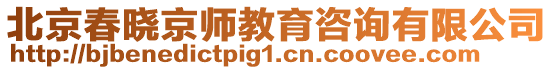 北京春曉京師教育咨詢有限公司