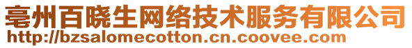 亳州百曉生網(wǎng)絡(luò)技術(shù)服務(wù)有限公司