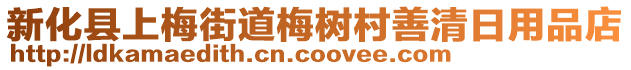 新化縣上梅街道梅樹村善清日用品店