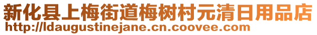 新化縣上梅街道梅樹村元清日用品店