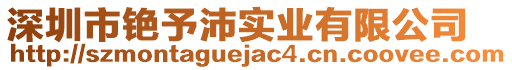 深圳市銫予沛實(shí)業(yè)有限公司