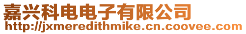 嘉興科電電子有限公司