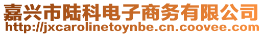 嘉興市陸科電子商務有限公司