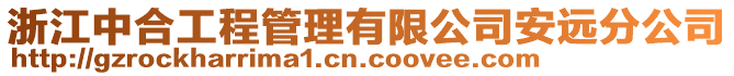 浙江中合工程管理有限公司安遠分公司