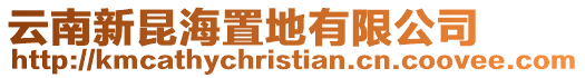 云南新昆海置地有限公司