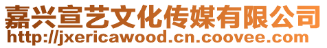 嘉興宣藝文化傳媒有限公司