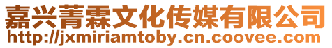 嘉興菁霖文化傳媒有限公司