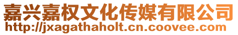 嘉興嘉權(quán)文化傳媒有限公司