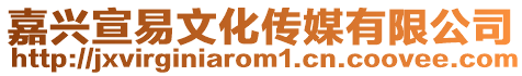 嘉興宣易文化傳媒有限公司
