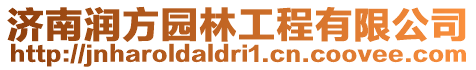 濟南潤方園林工程有限公司