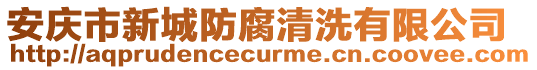 安慶市新城防腐清洗有限公司