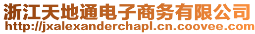 浙江天地通電子商務有限公司
