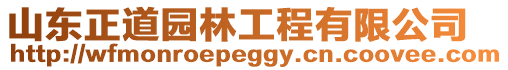 山東正道園林工程有限公司