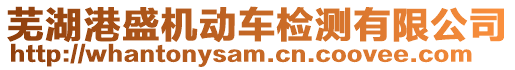 蕪湖港盛機動車檢測有限公司