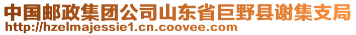 中國郵政集團公司山東省巨野縣謝集支局