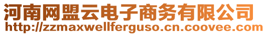 河南網盟云電子商務有限公司