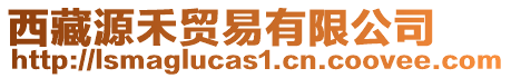 西藏源禾貿易有限公司